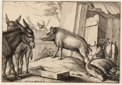 Maiali e asini da Wenceslaus Hollar